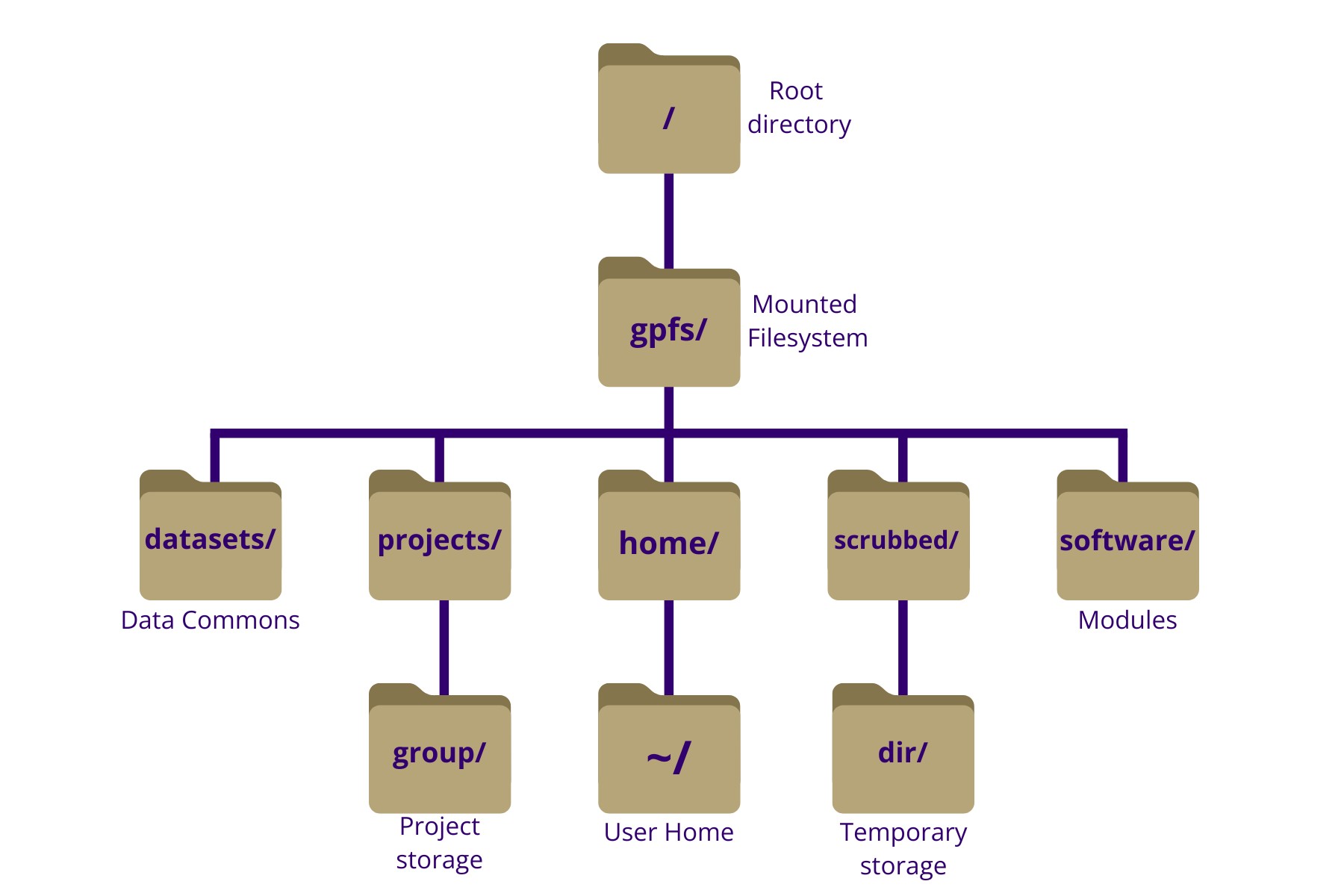 Diagrammatic representation of the Tillicum filesystem directory tree. The directory tree shows the root directory at the top which holds all subdirectories. The picture is a truncated view of the filesystem showing the root directory and a few directories within it, including GPFS and a few directories within GPFS/: home/ where the Home directories are, software/ where we keep software, datasets/ where common datasets are stored, scrubbed/ where users can utilize temporary storage, and projects/ where the lab groups their dedicated storage.