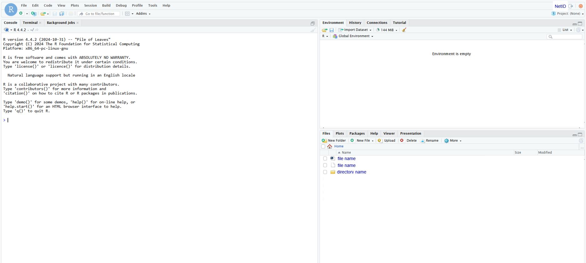 Sample Rstudio interface on Hyak&#39;s OOD.